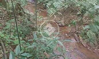 Imagem 5: CHÁCARA PRÓXIMO A CASCAVEL 3 ALQ codigo: 154500