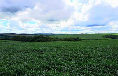 Imagem 6: Fazenda em Abadiânia-Go - 201 Hectares