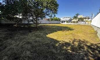 Imagem 7: Brognoli Vende- Terreno de 558 mt² nos Ingleses Norte