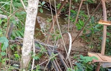 Imagem 3: Chácara 15 mil metros em Aragoiania