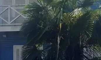 Imagem: Chácara em Rua Frederico Ritter - Vila