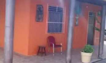 Imagem 5: Cachará em Boquim Sergipe