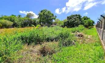 Imagem 6: Terreno à venda em Centro - AL