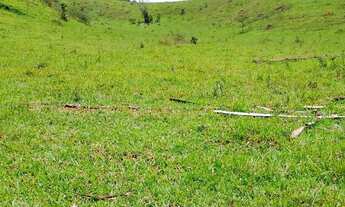 Imagem: Vendo 1 chácara