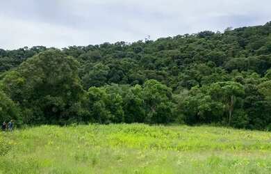 Imagem 3: Lotes em Ibiúna - SP