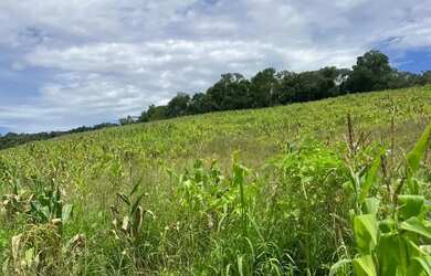 Imagem 7: Oportunidade única de investimento no KM 82 da Bunjiro Nakao