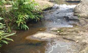 Imagem 2: Sítio para agropecuária e Agricultura. 100% tratorável!