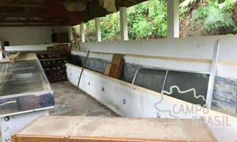 Imagem 4: Campo Brasil Imóveis, realizando seu sonho rural! Sítio com 16 aq na Zona Norte