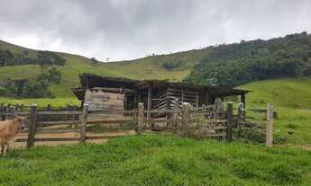 Imagem 4: Vendo magnífica fazenda para pecuária em Iguaí( Porteira fechada