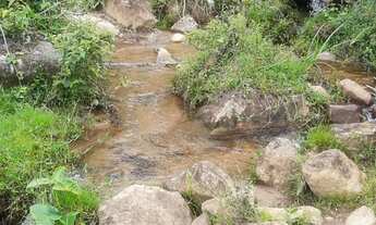 Imagem 7: Vendo magnífica fazenda para pecuária em Iguaí( Porteira fechada