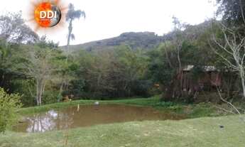 Imagem 2: Mas bah tchê!!! Excelente Sitio 1 hectares em Santo Antonio da Patrulha, RS