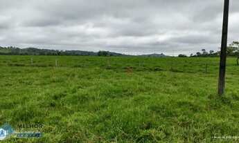 Imagem 5: Fazenda 198 alqueires Região de Cacaulândia