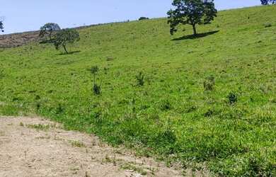 Imagem 7: 5000m² 30,000!!!