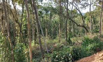 Imagem: Terreno a venda, com qualidade de vida