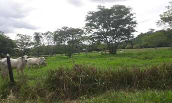 Imagem 7: Excelentes Fazendinhas Planas Registradas Financiadas Com Água Luz Lagoa Cerca na região S