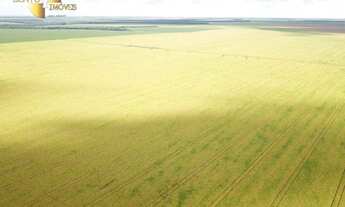 Imagem 6: Fazenda à venda, m² por R$ 150.000.000,00 - Zona Rural - Colider/MT