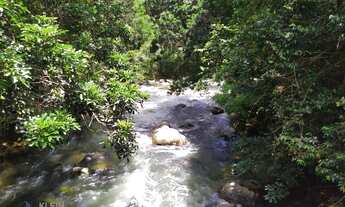 Imagem: Fazenda única à venda, O Paraíso das