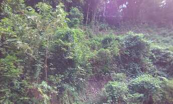 Imagem 4: Terreno no bairro São Conrado Vista Montanha Mar Verde