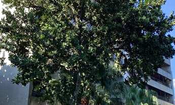 Imagem: Apartamento com excelente planta a venda