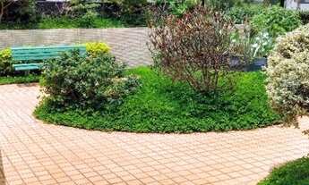 Imagem: Apartamento com 3 dormitórios para alugar