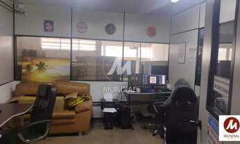 Imagem 4: Salão/Galpão (salão - térreo