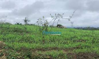 Imagem 4: Fazenda em Pacajá - PA