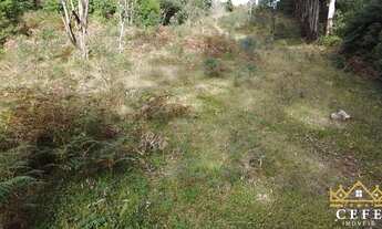 Imagem 5: Sítio / Chácara para Venda em Morro Reuter, São José do Herval