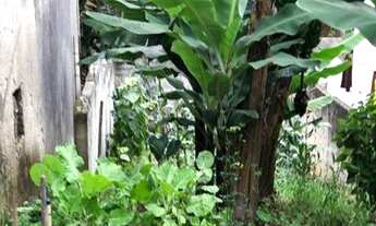 Imagem 4: Terreno à venda, 125 m² por R$ 80.000,00 - Jardim Pérola I - São Paulo/SP