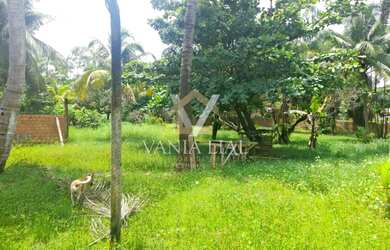 Imagem 3: Salinópolis - Casa Padrão - Bom Jesus