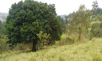 Imagem 7: ÁREA DE 22855M2 JUNDIAI NO BAIRRO DO JUNDIAI MIRIM