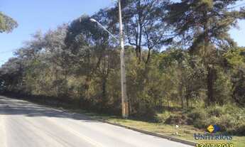 Imagem 3: Terreno à venda, 2000 m² por R$ 300.000,00 - São Gabriel - Colombo/PR