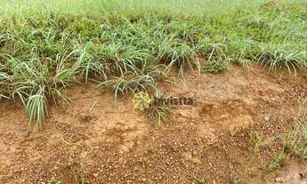 Imagem 2: Fazenda à venda, 127 Hectares em Paraíso do Tocantins