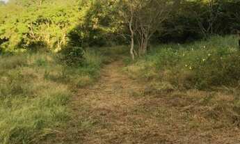 Imagem 7: Chácara com 4 dormitórios à venda, 145000 m² por R$ 1.200.000,00 - Zona Rural - Jaciara/MT