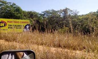 Imagem 3: Terreno 69 Hectares em Martinho Campos