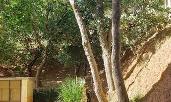 Imagem 4: Apartamento 03 dormitórios - Sorocaba - SP