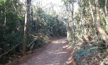 Imagem 7: Área rural a venda Bateias / Ouro fino, Campo Largo com 1.500.400,00m2 ou seja 62, alqueir