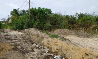 Imagem 3: Terreno no Miritiua