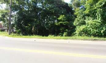 Imagem: Terreno para Venda em Quatro Barras, Jardim