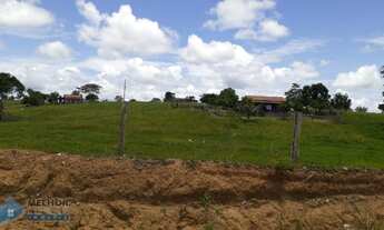 Imagem 6: Sitio 36,5 alqueires Jaru