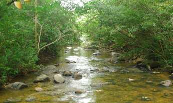 Imagem: Fazenda em Nossa Senhora do Livramento à