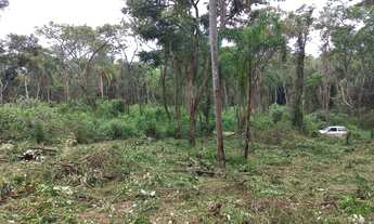 Imagem: Lindo terreno a venda Ibiuna / Piedade1