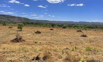 Imagem 2: Fazenda à venda, 140 Hectares em Porto Nacional/TO