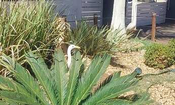 Imagem 2: Ágio de casa no Green Park II no bairro ypiranga em Valparaíso