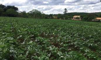 Imagem 7: Sítio/Chácara com poço artesiano e excelente topografia!!!