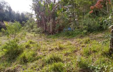 Imagem 7: TERRENO DE 1000M² EXCLUSIVO PARA CHÁCARA