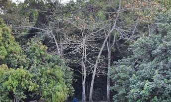 Imagem 4: Terreno Praia do Guaecá - São Sebastião (Litoral Norte