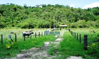 Imagem 5: Sítio Guaraqueçaba