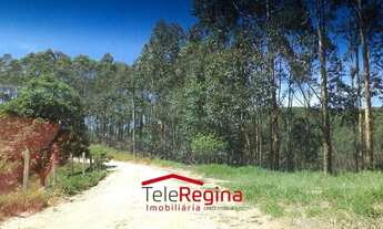 Imagem 4: SÍTIO PARA VENDER EM CAÇAPAVA