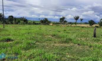 Imagem 4: Fazenda 150 alqueires Região de Ariquemes