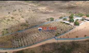 Imagem 3: Chácara com 1 dormitório à venda, 80000 m² por R$ 360.000,00 - Zona Rural - São Sebastião